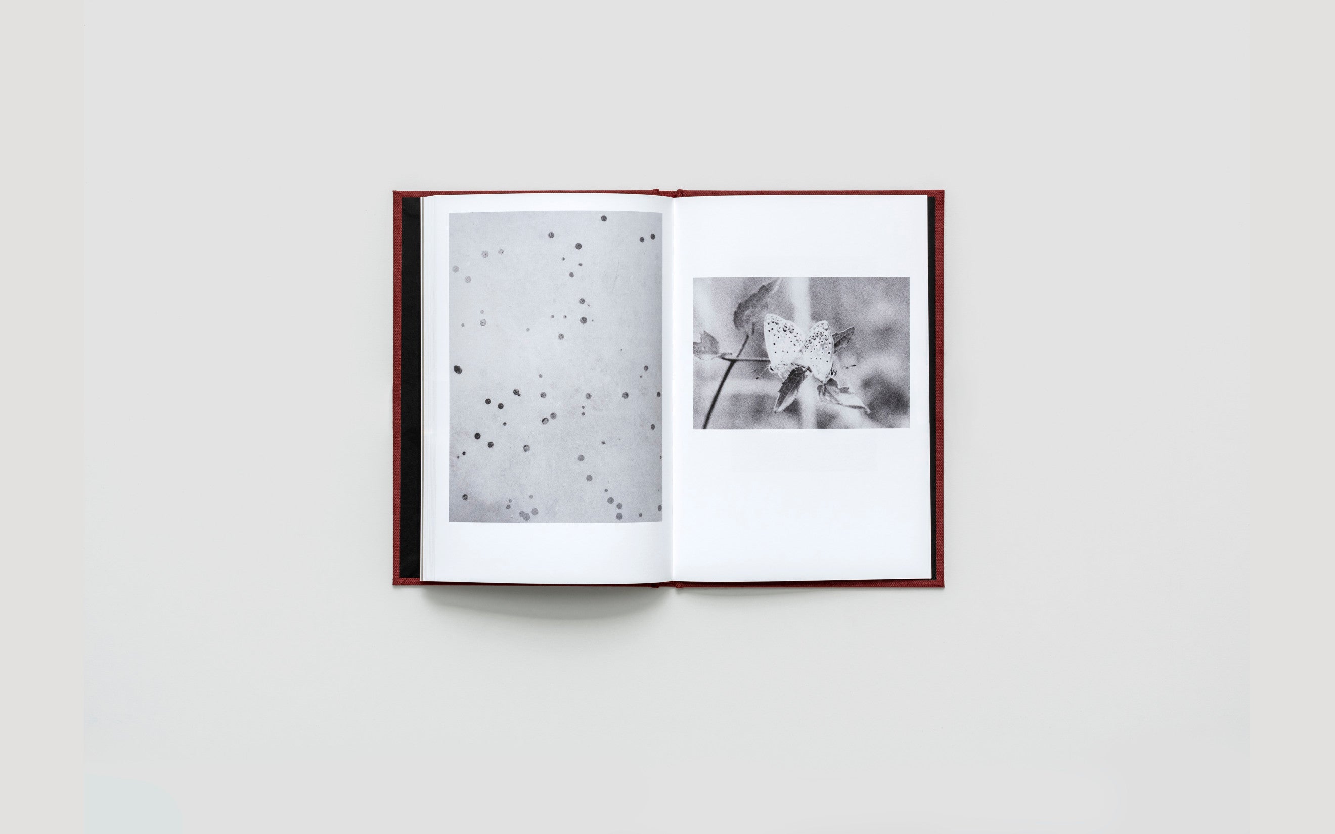 MUT 2 - Jochen Lempert - Two Poems, Seven Pairs