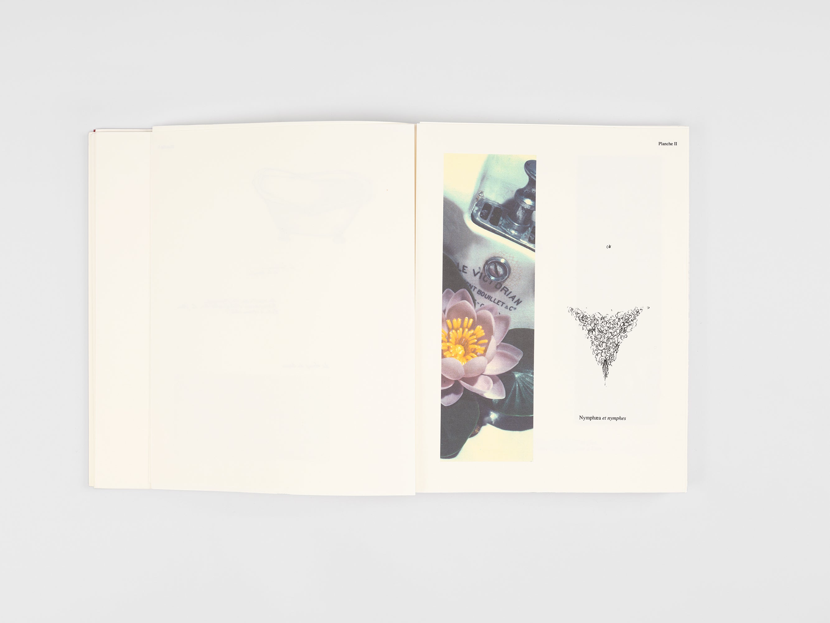 Paul-Armand Gette & Alain Frontier - Le livre des fragments ou le regard rapproché