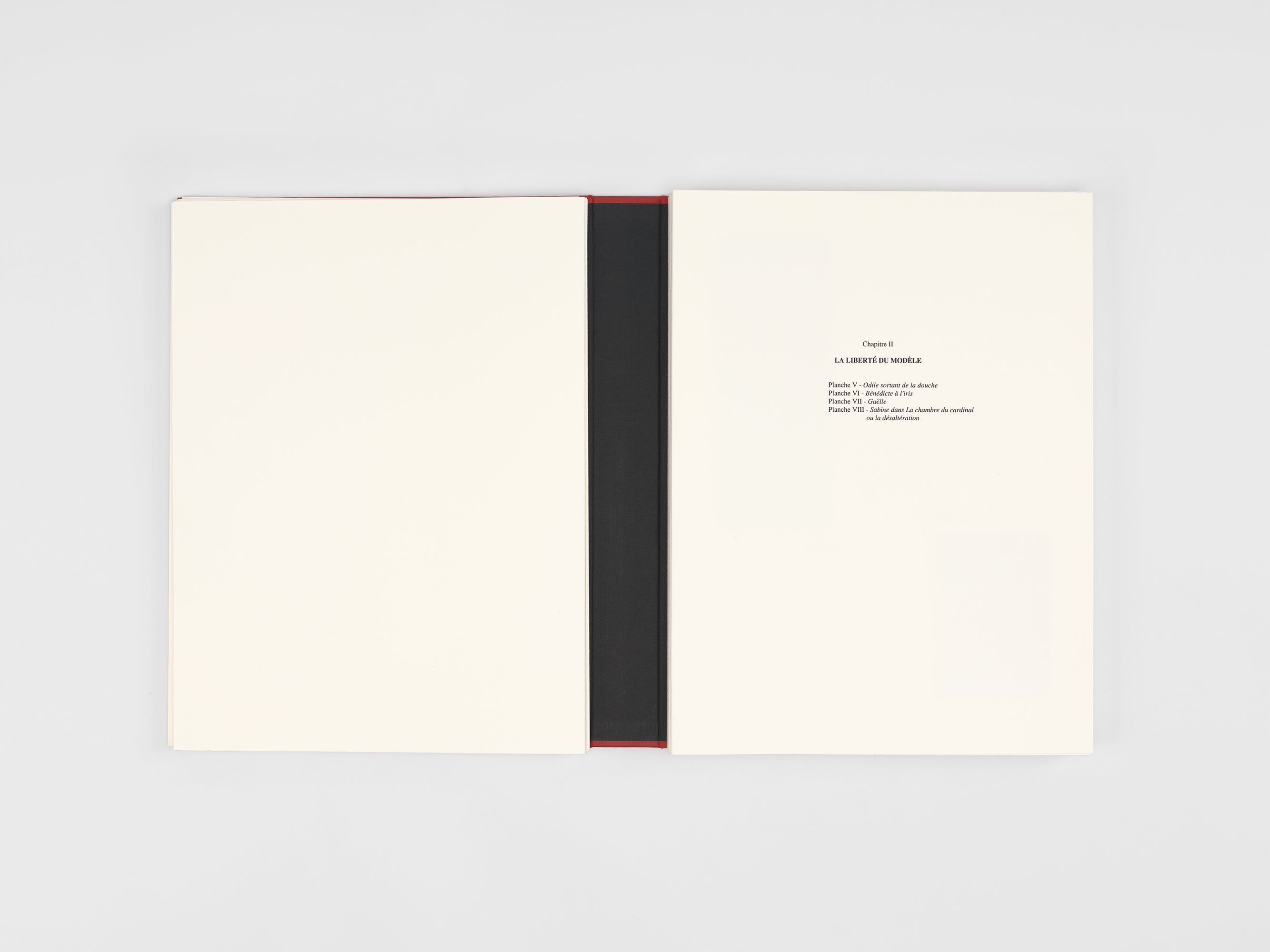 Paul-Armand Gette & Alain Frontier - Le livre des fragments ou le regard rapproché