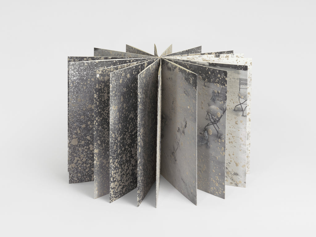 Anselm Kiefer - Die Ungeborenen