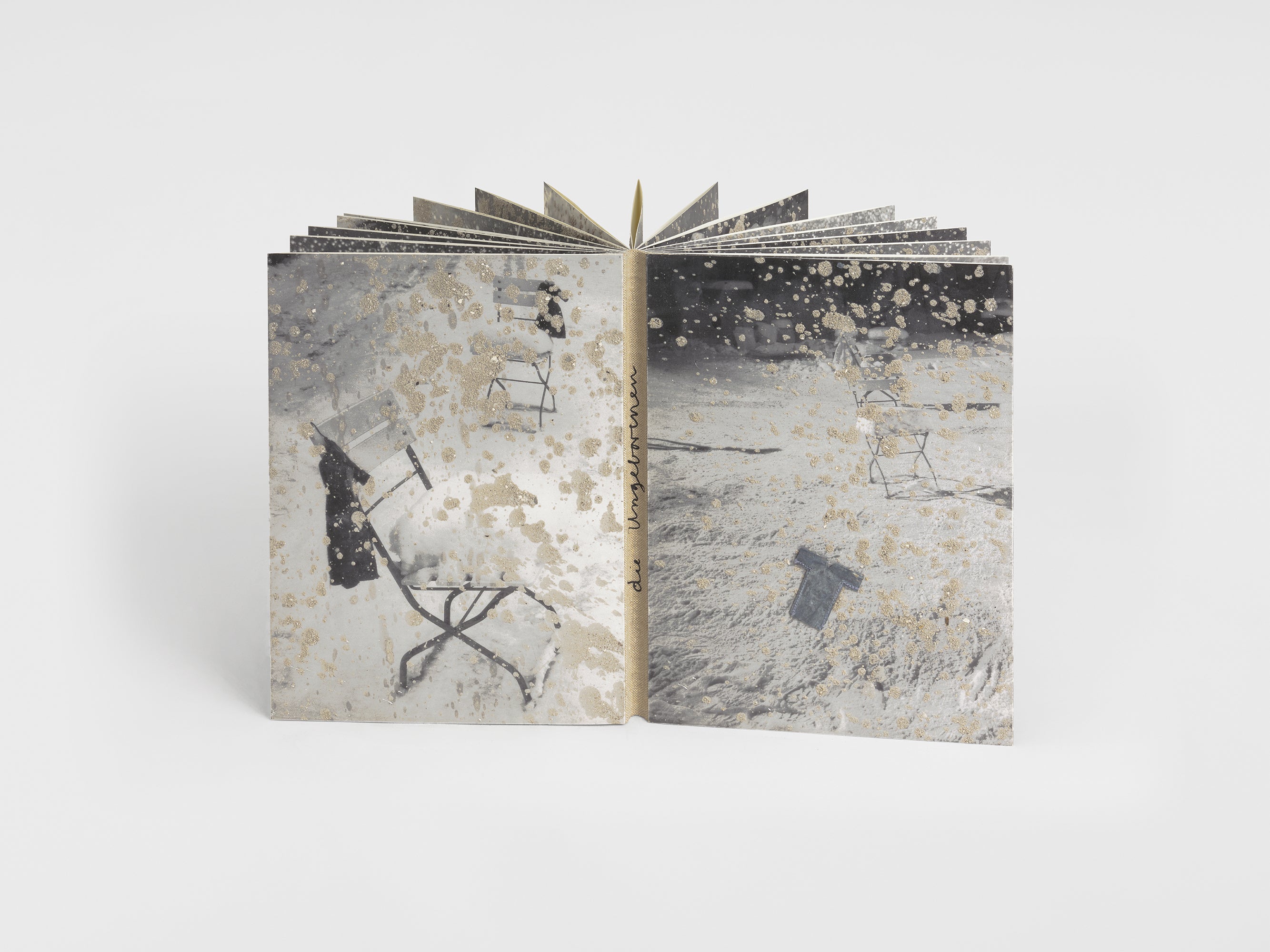 Anselm Kiefer - Die Ungeborenen