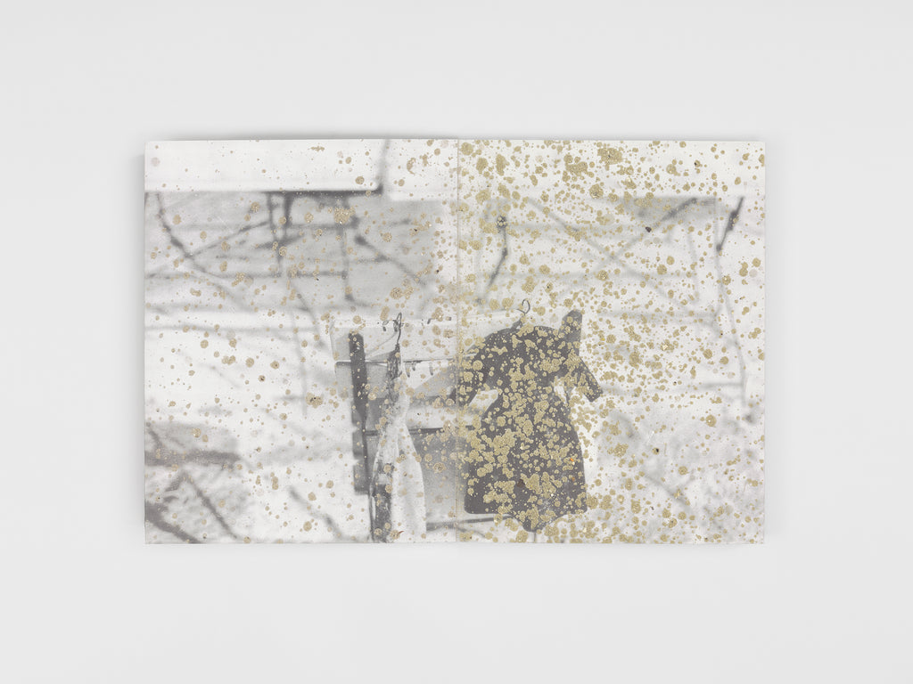 Anselm Kiefer - Die Ungeborenen