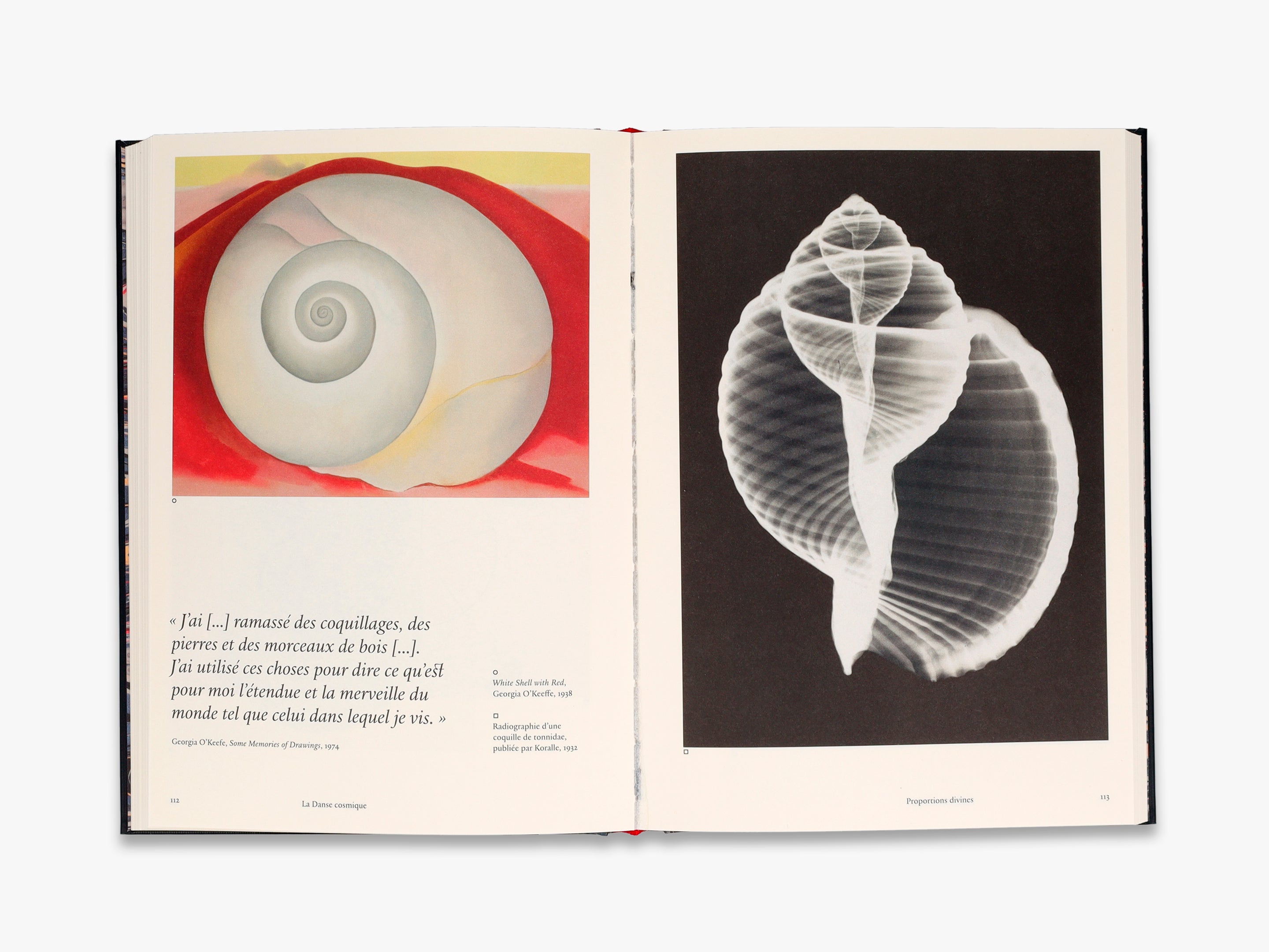 Stephen Ellcock - The Cosmic Dance