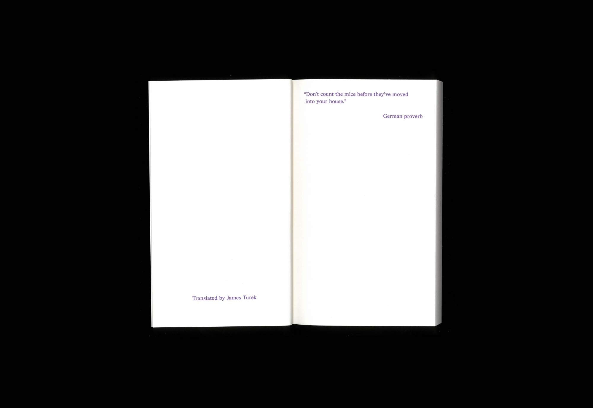 Anna Haifisch - Mouse in Residence