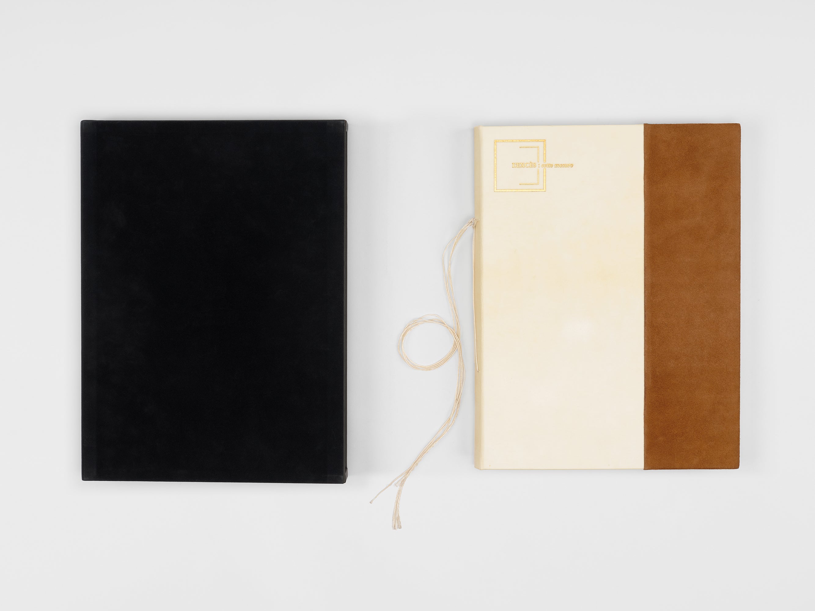 Richard Tuttle & Anne-Marie Albiach - L'excès : cette mesure