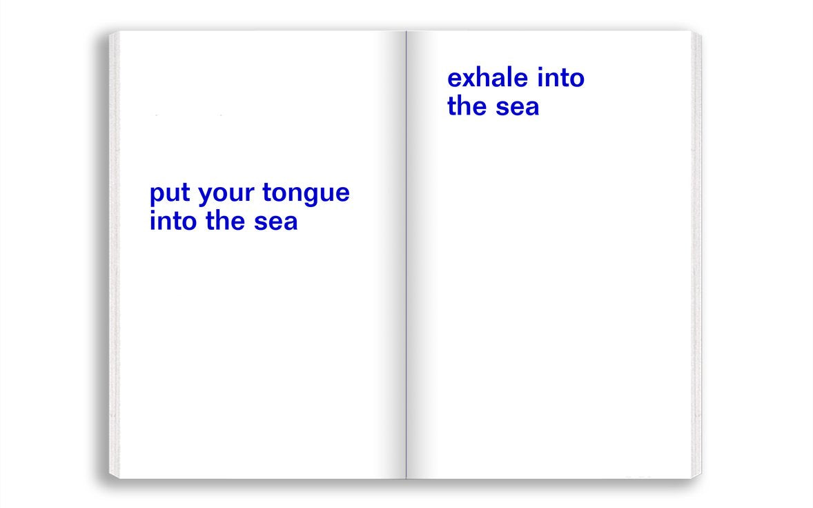 David Horvitz - Emporte la mer avec toi / Adjust the level of the sea