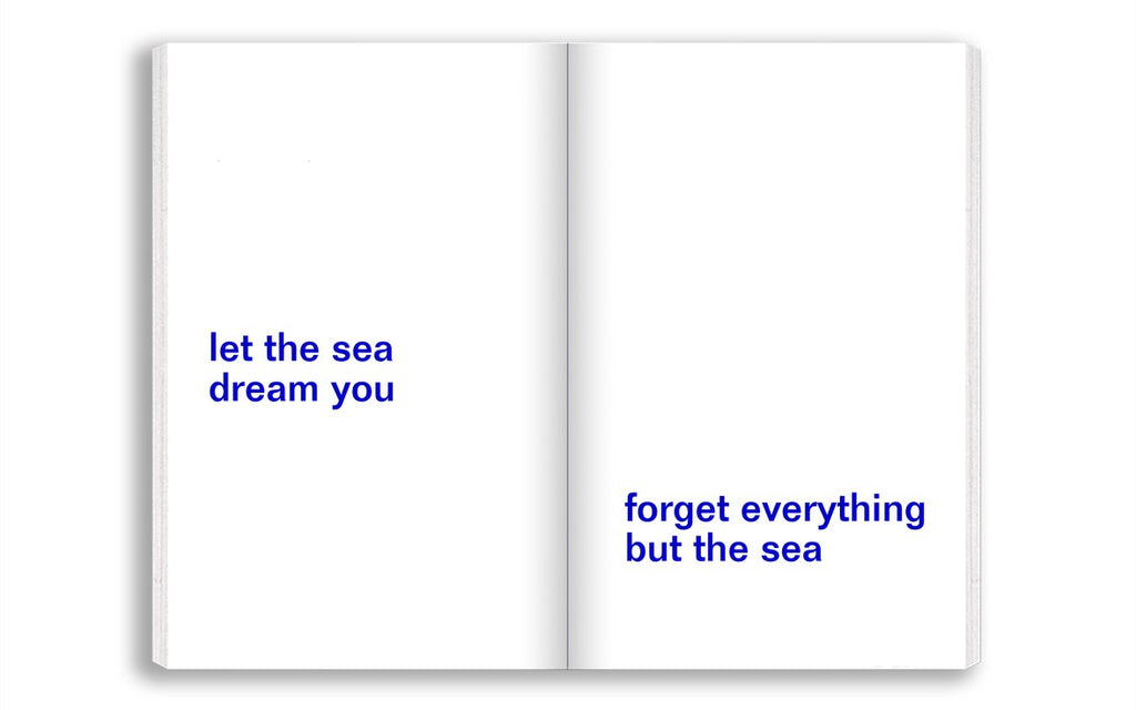 David Horvitz - Emporte la mer avec toi / Adjust the level of the sea