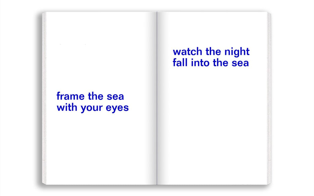 David Horvitz - Emporte la mer avec toi / Adjust the level of the sea