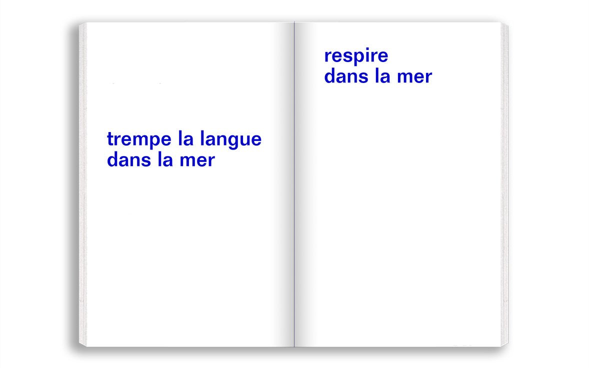 David Horvitz - Emporte la mer avec toi / Adjust the level of the sea