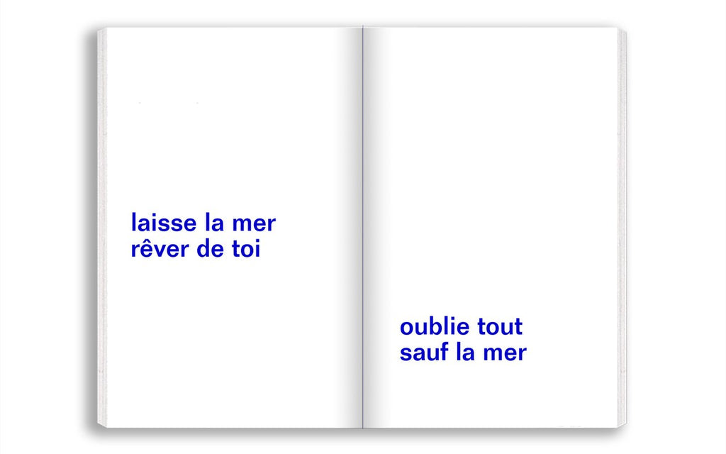 David Horvitz - Emporte la mer avec toi / Adjust the level of the sea