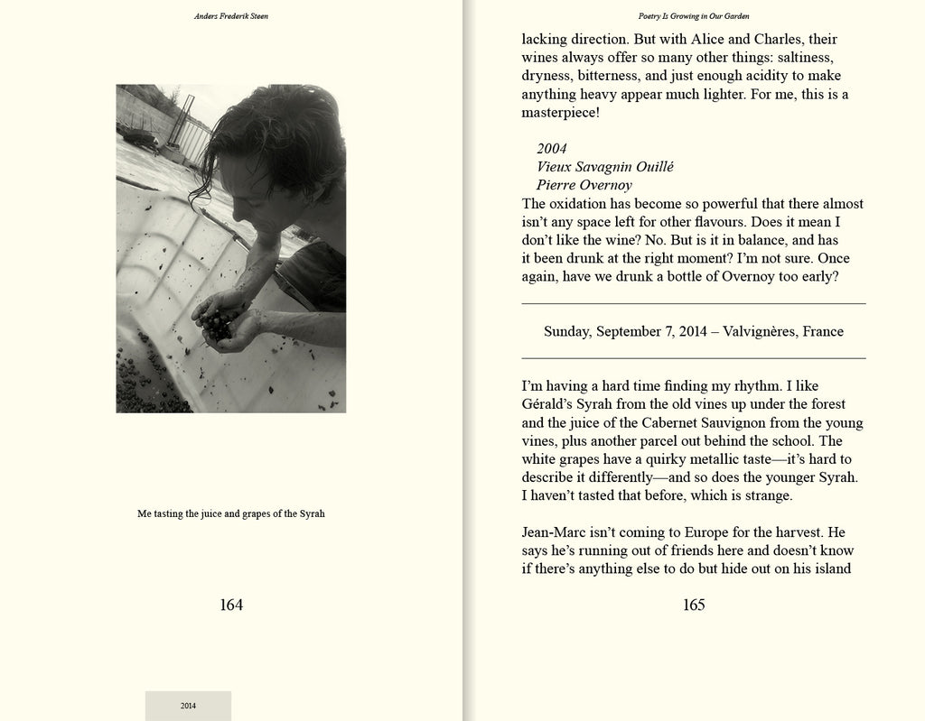 Anders Frederik Steen - Poetry Is Growing in Our Garden