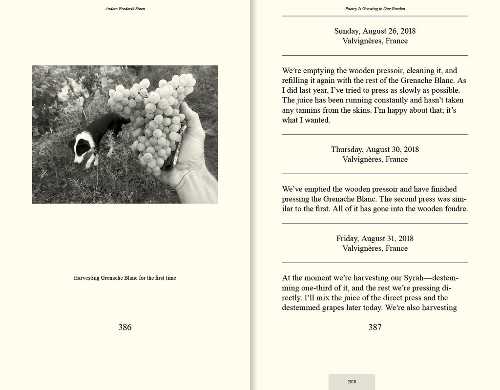 Anders Frederik Steen - Poetry Is Growing in Our Garden