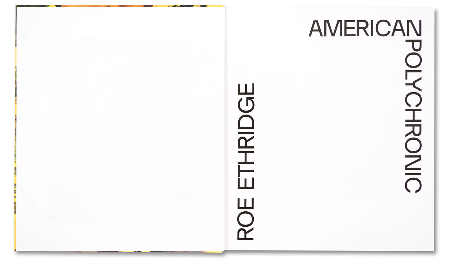 Roe Ethridge - AMERICAN POLYCHRONIC