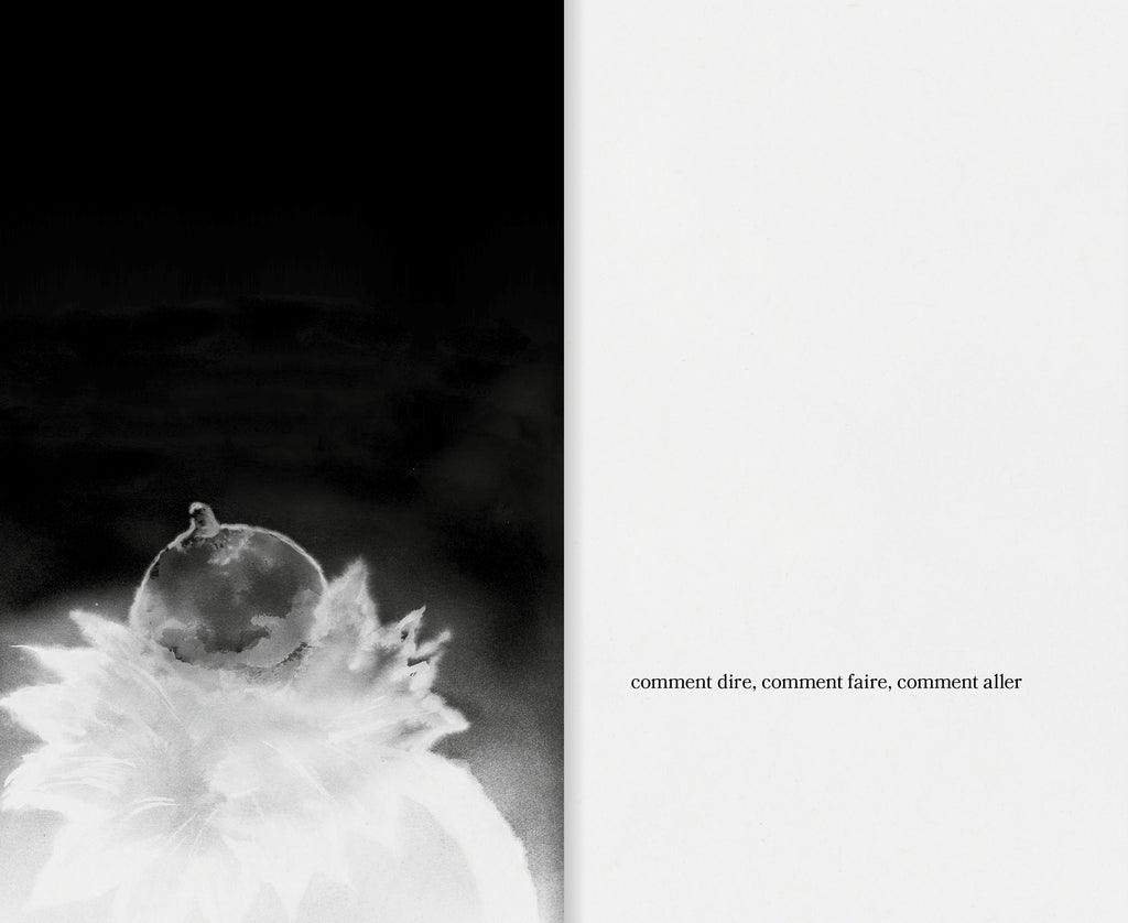 Annette Messager - Laisser Aller Laisser Aller Laisser Aller