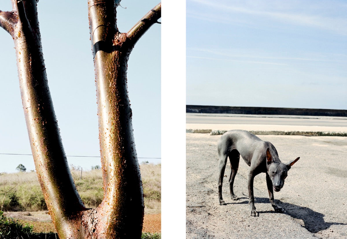 Christophe Coënon - LINEA