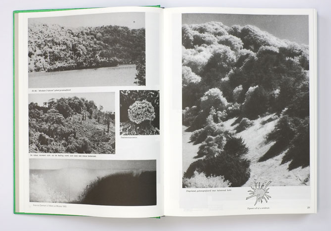 Batia Suter - Parallel Encyclopedia 2 (Revised edition)