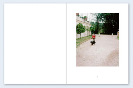 John Divola - Seven Dogs