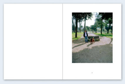 John Divola - Seven Dogs