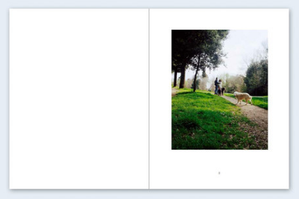 John Divola - Seven Dogs