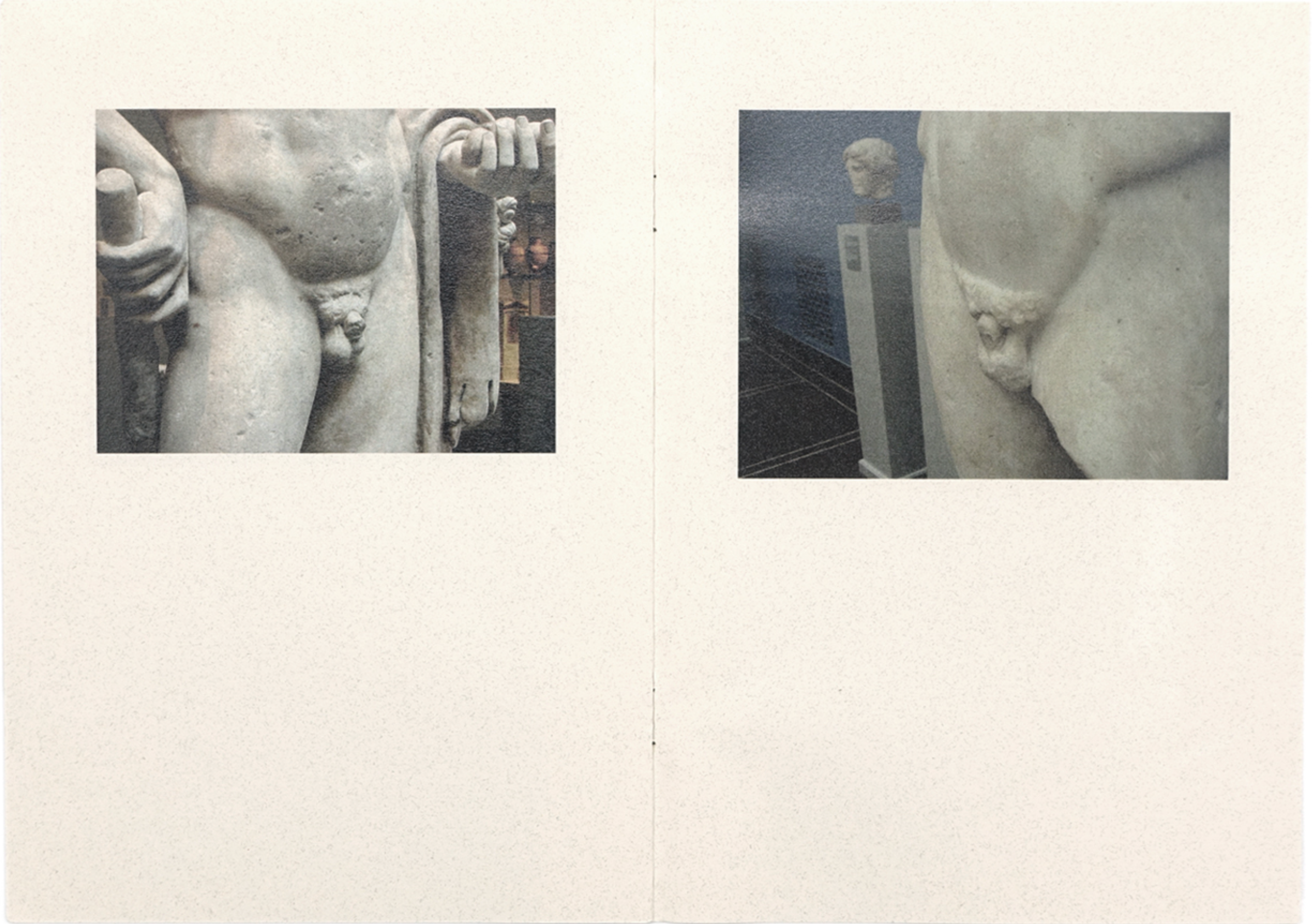 Sena Başöz - The Missing Element