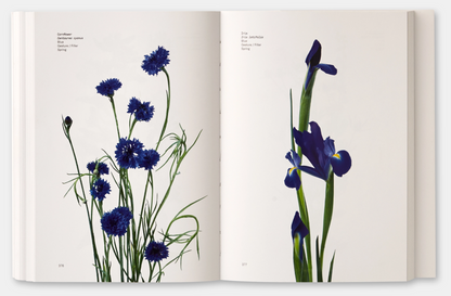 Taylor and Michael Putnam - Flower Colour Guide