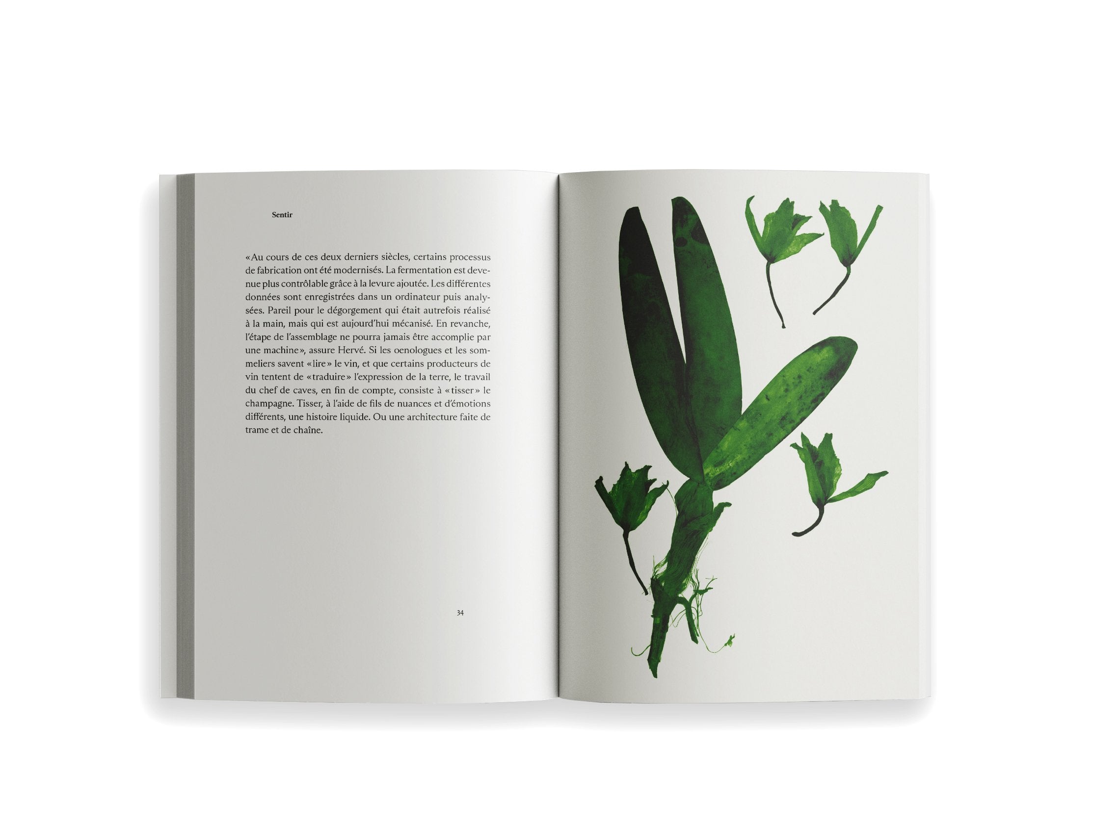 Ryoko Sekiguchi - Sentir / Feeling (FR/EN)