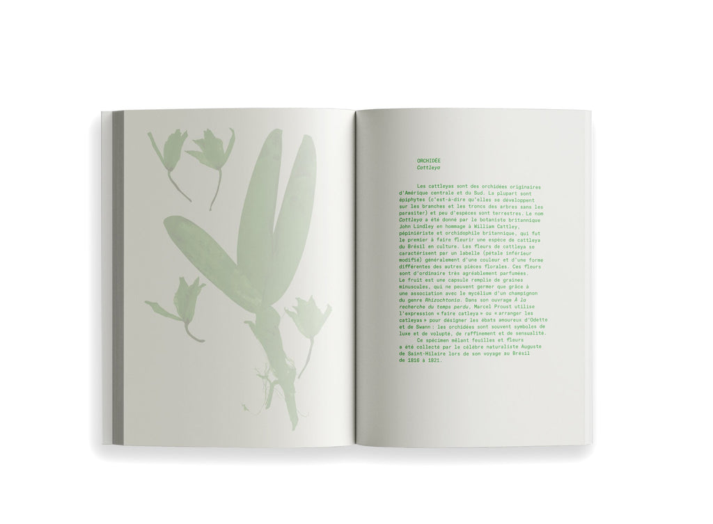 Ryoko Sekiguchi - Sentir / Feeling (FR/EN)