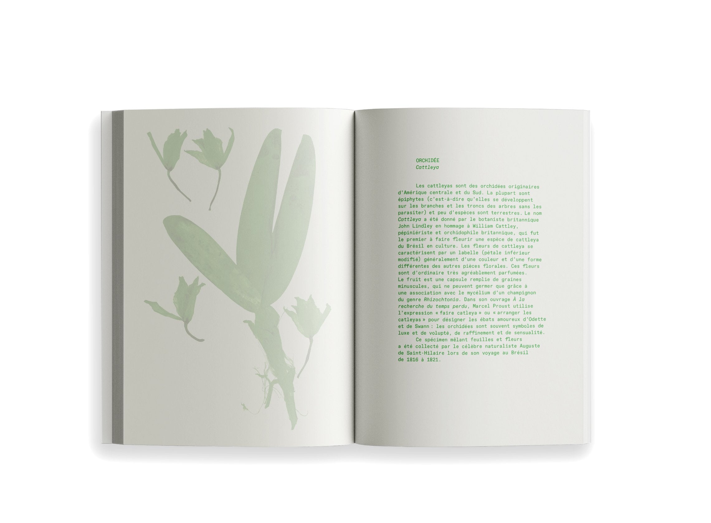 Ryoko Sekiguchi - Sentir / Feeling (FR/EN)