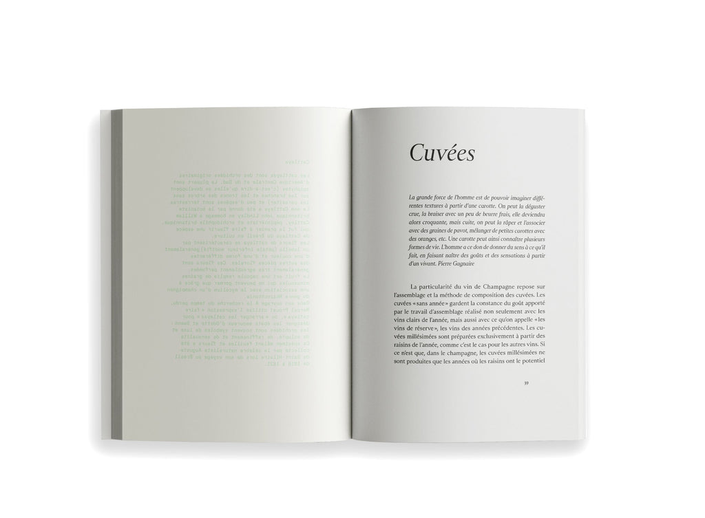 Ryoko Sekiguchi - Sentir / Feeling (FR/EN)