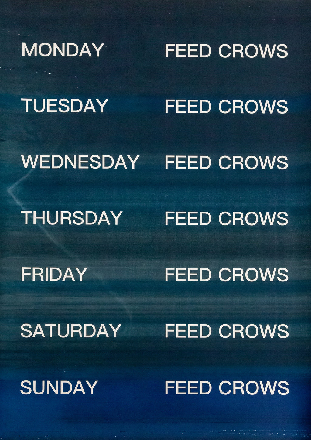 David Horvitz - Feed Crows (Print)