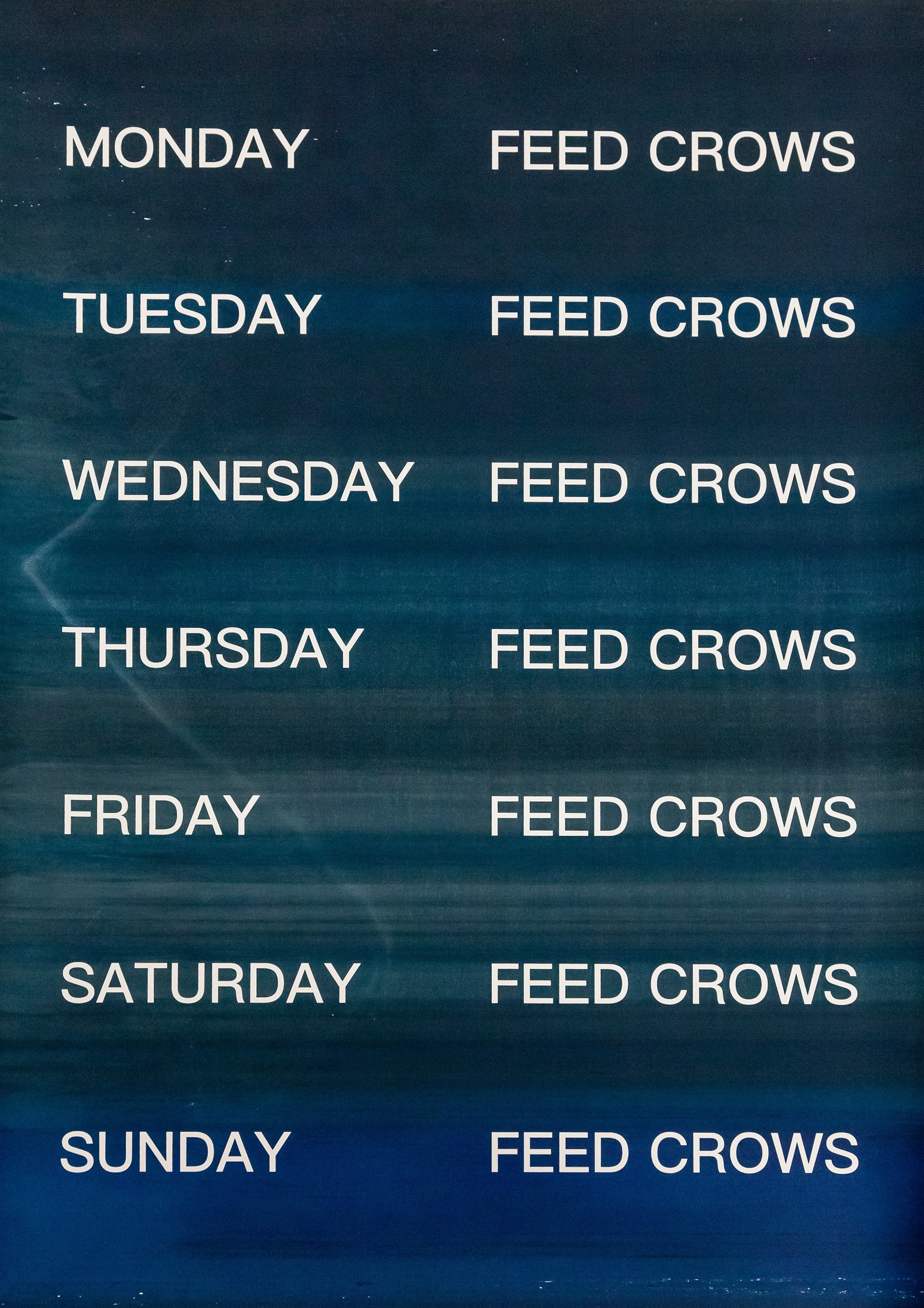 David Horvitz - Feed Crows (Print)