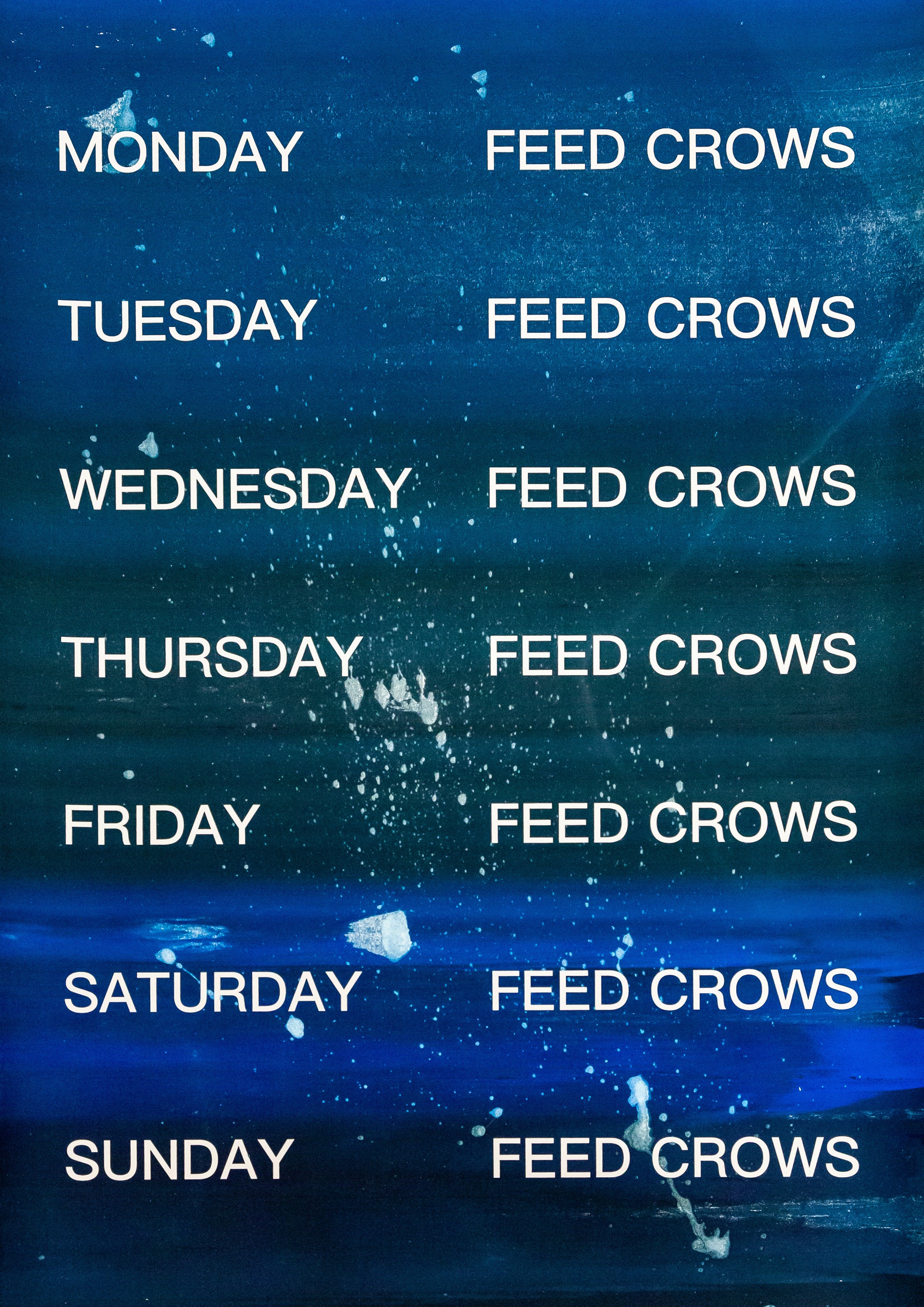 David Horvitz - Feed Crows (Print)