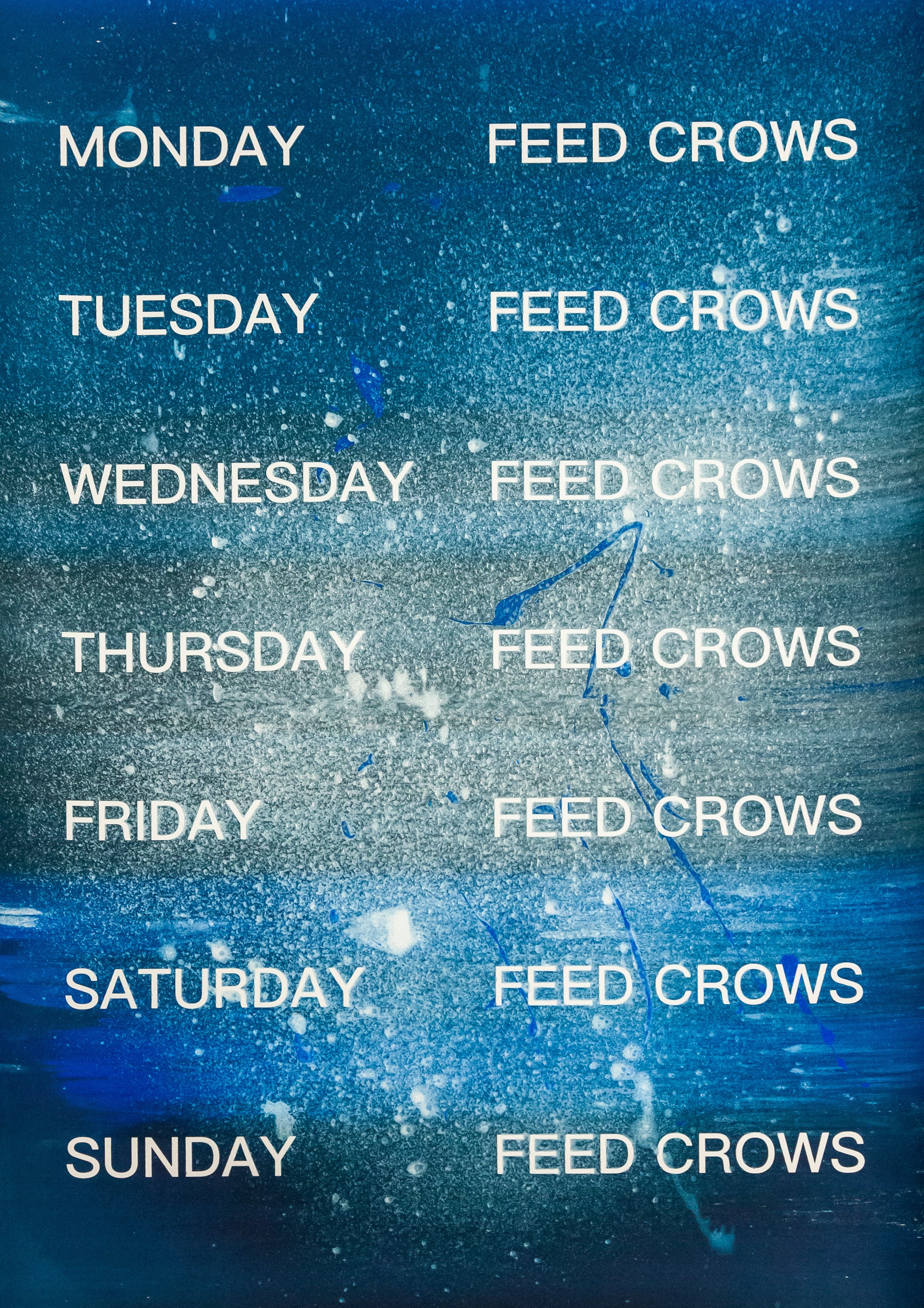 David Horvitz - Feed Crows (Print)