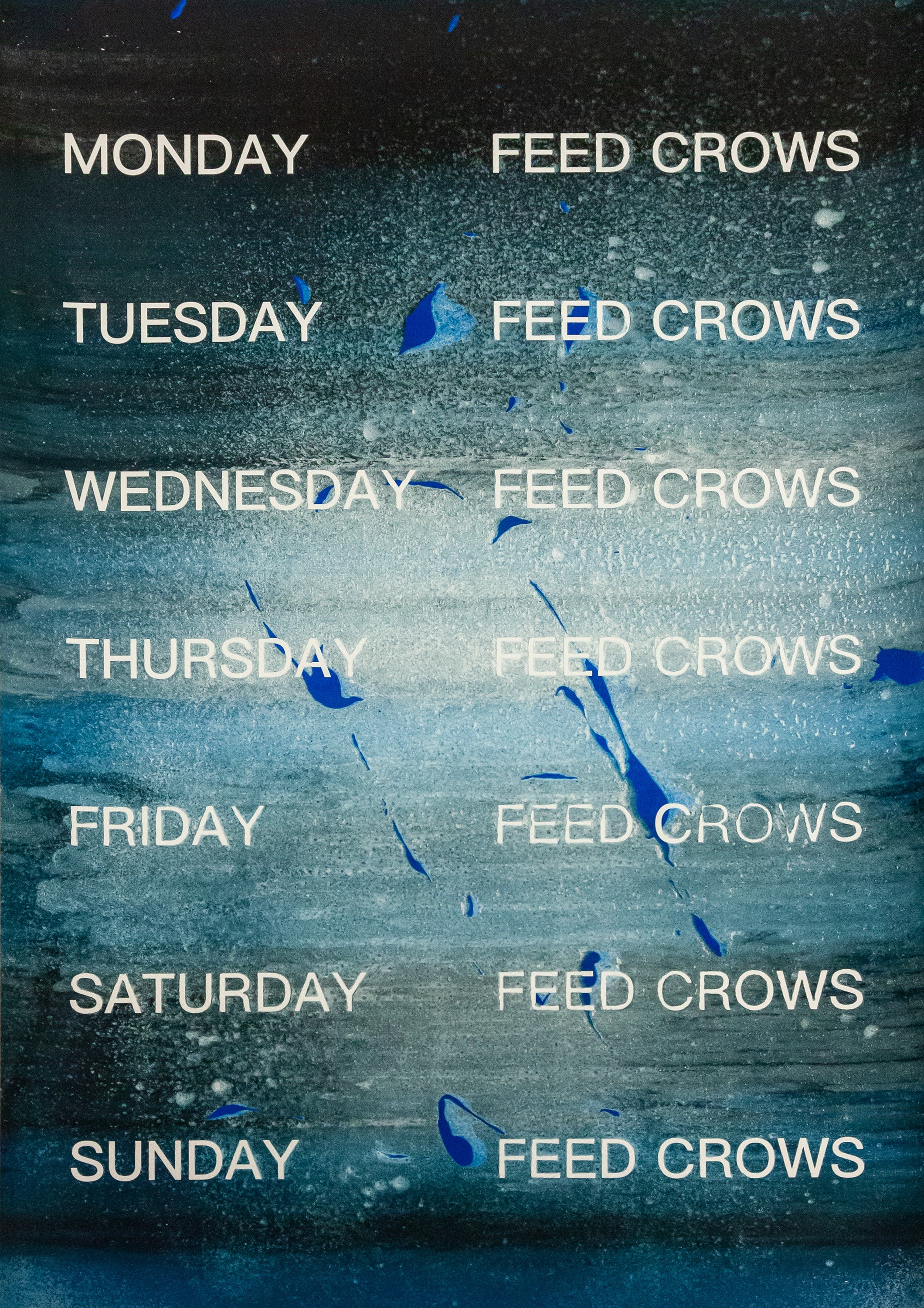 David Horvitz - Feed Crows (Print)