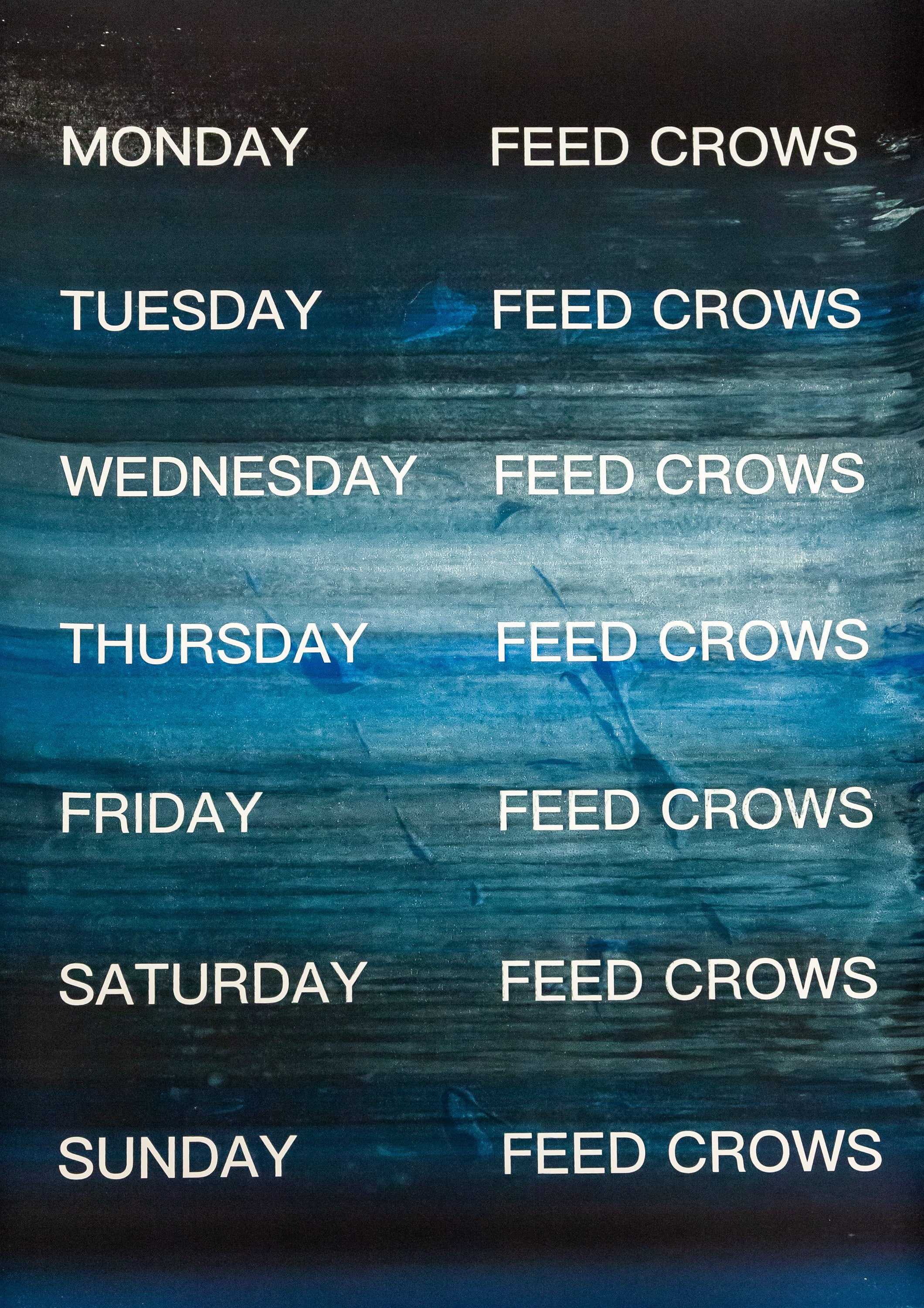 David Horvitz - Feed Crows (Print)