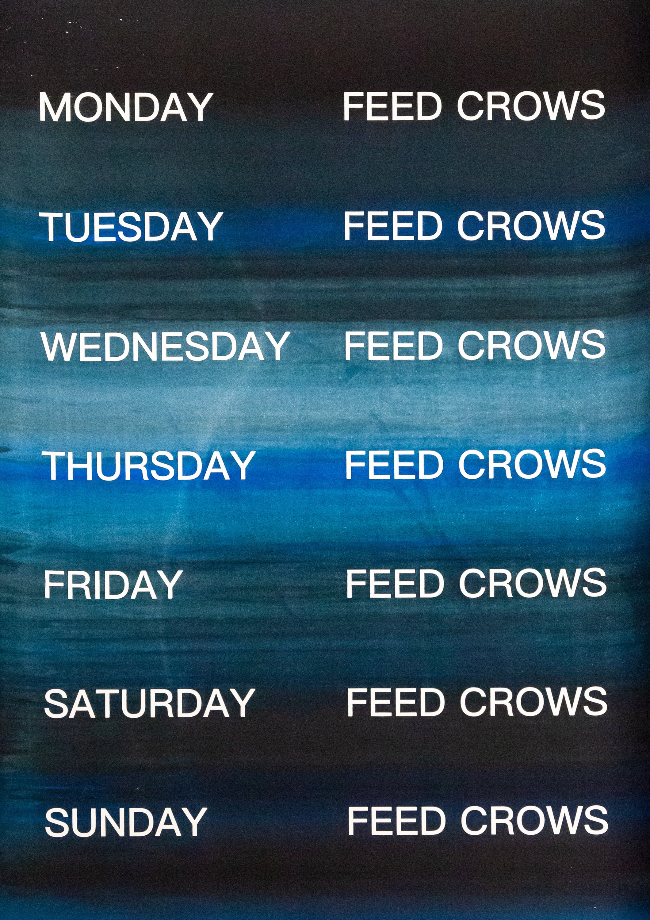 David Horvitz - Feed Crows (Print)