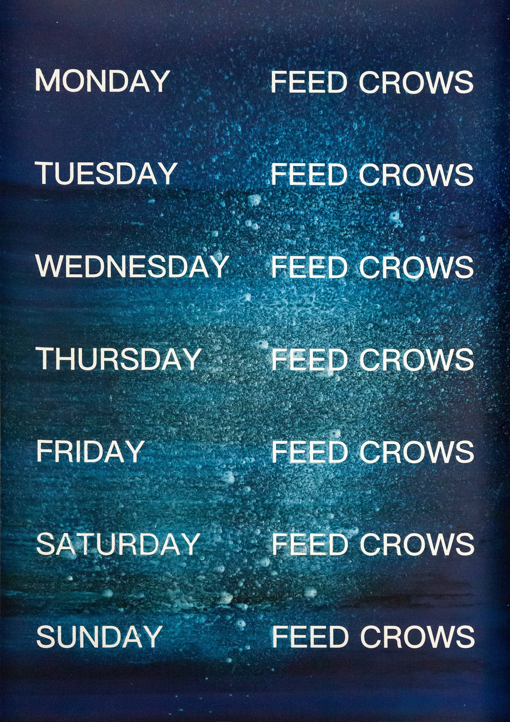 David Horvitz - Feed Crows (Print)