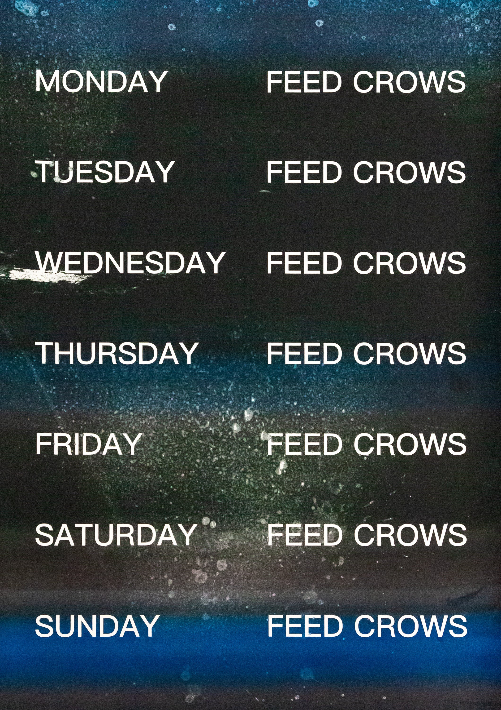 David Horvitz - Feed Crows (Print)