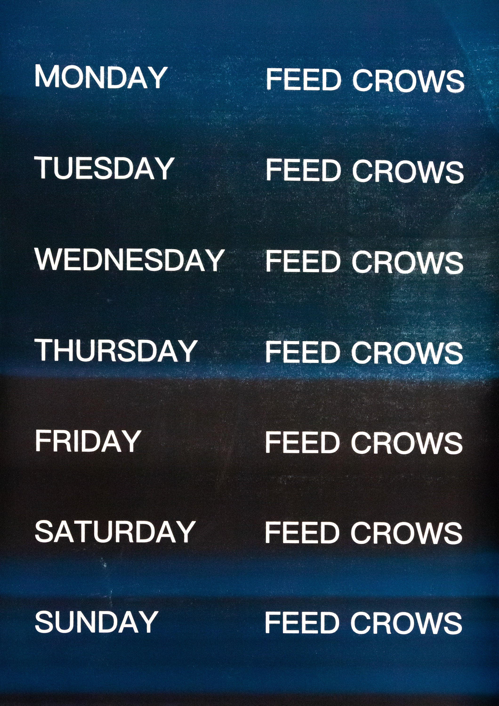 David Horvitz - Feed Crows (Print)