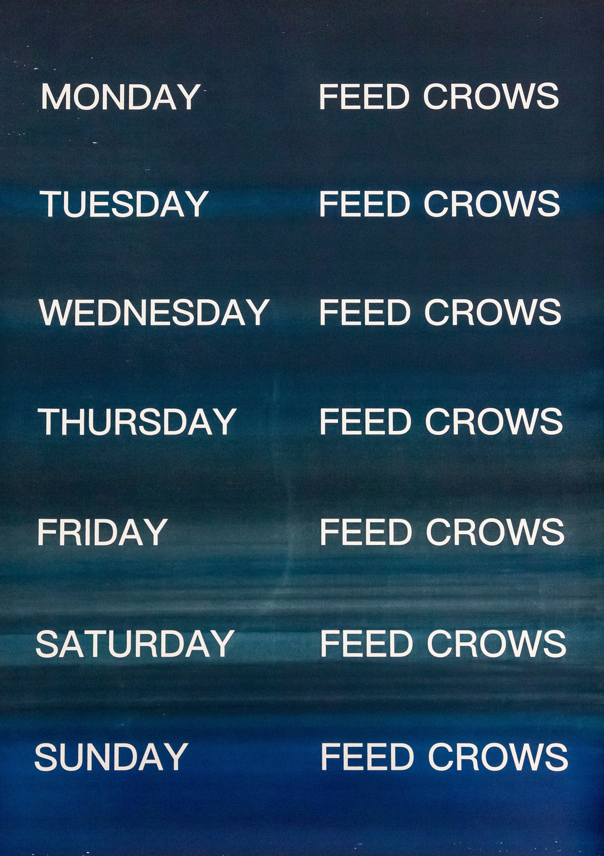 David Horvitz - Feed Crows (Print)