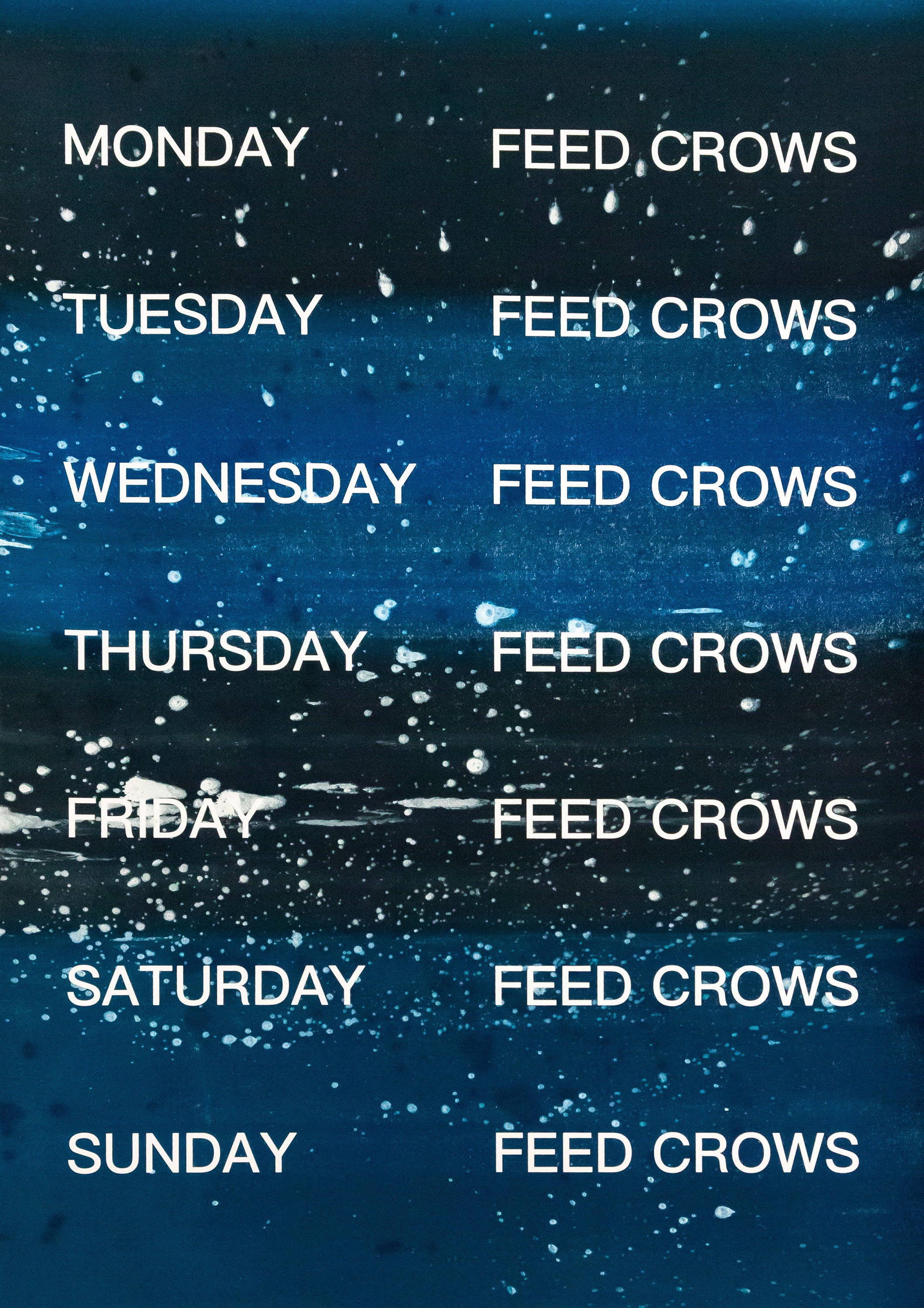 David Horvitz - Feed Crows (Print)