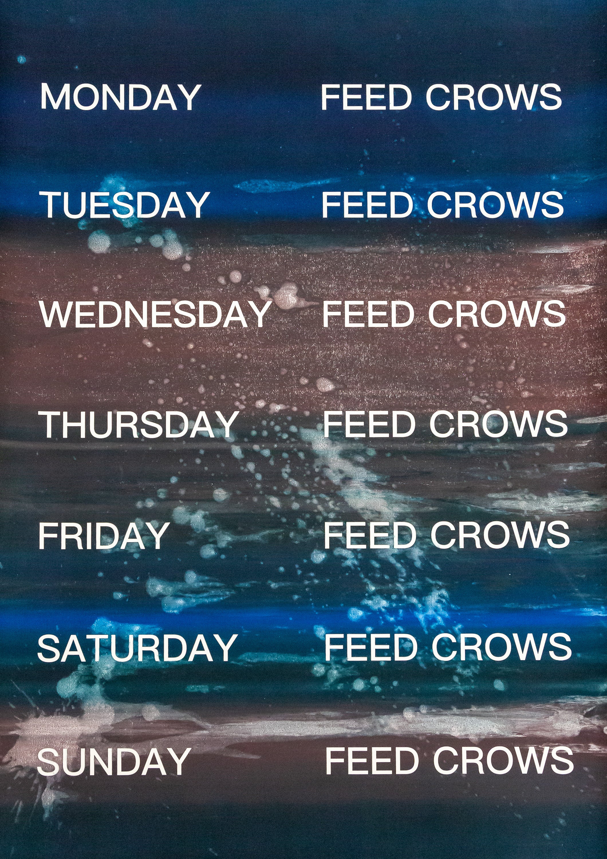 David Horvitz - Feed Crows (Print)