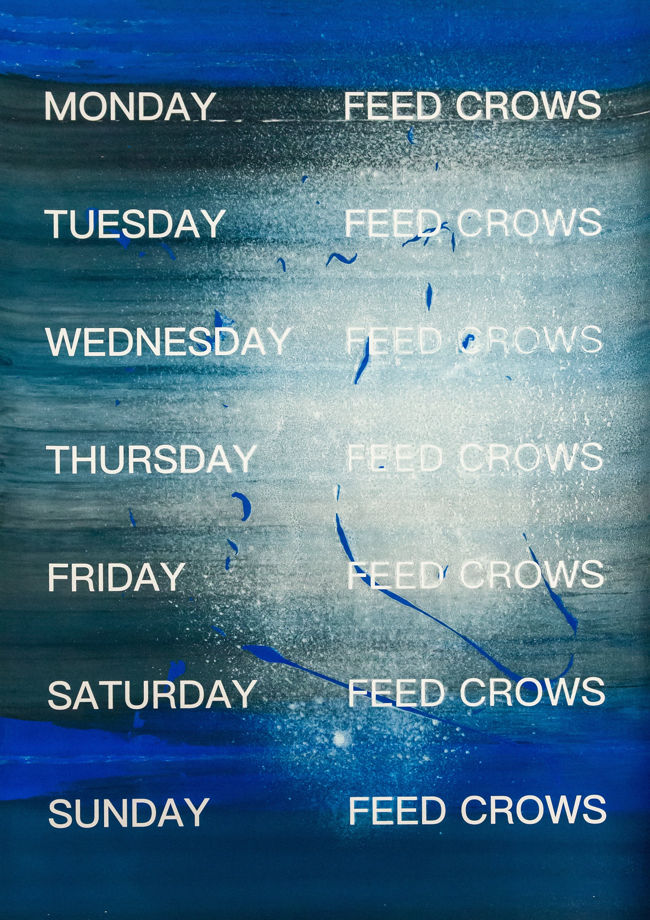 David Horvitz - Feed Crows (Print)