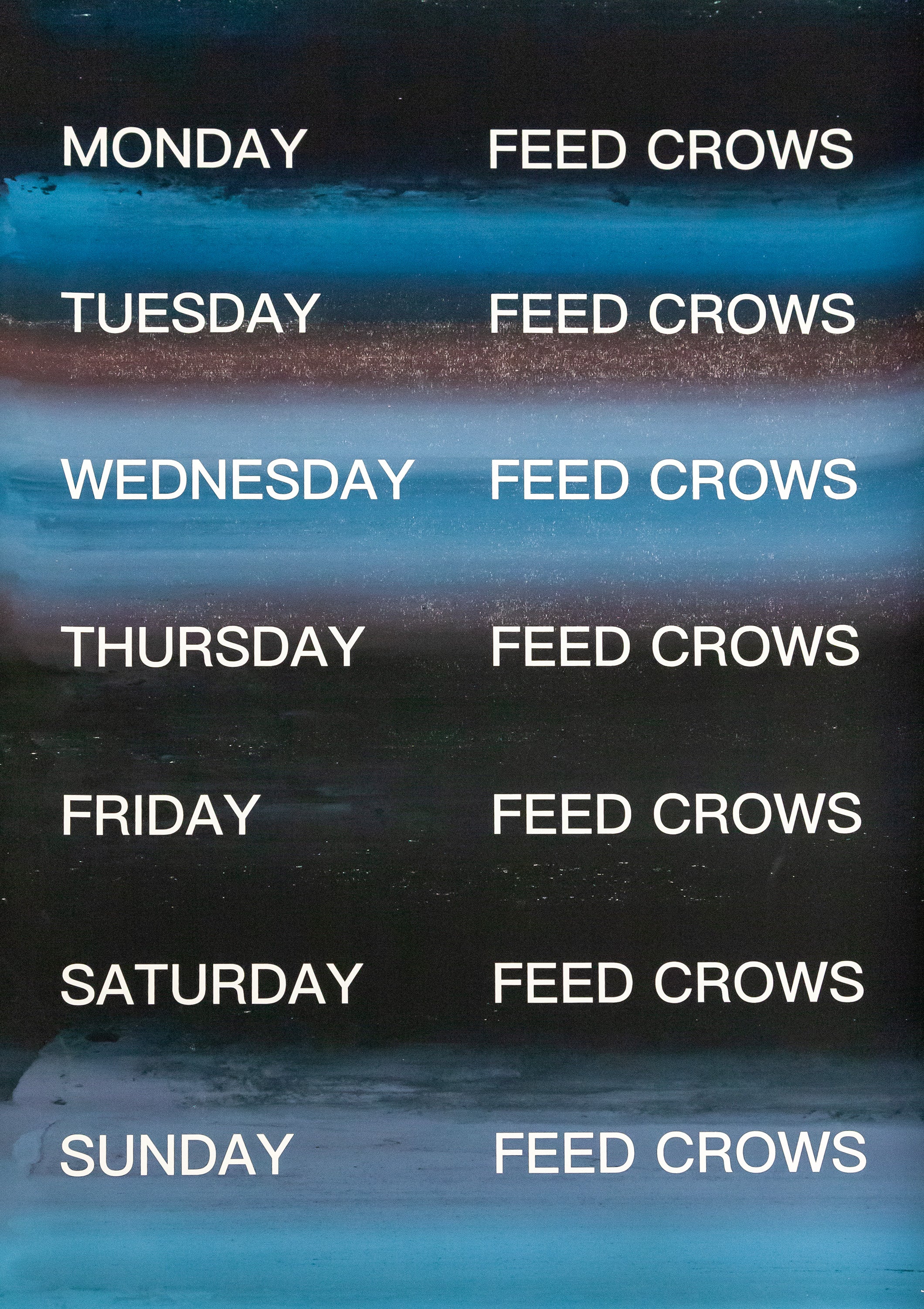 David Horvitz - Feed Crows (Print)