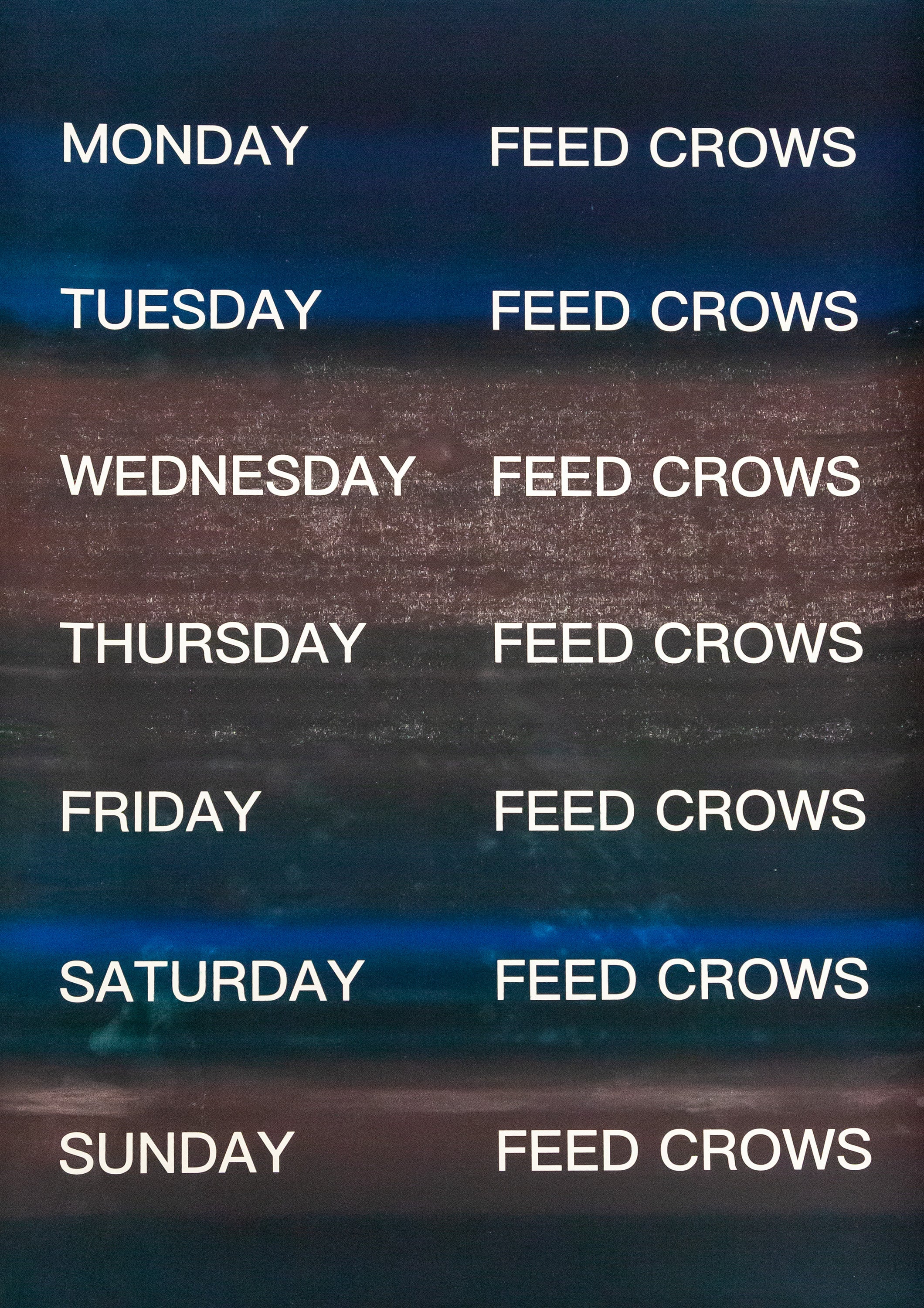 David Horvitz - Feed Crows (Print)