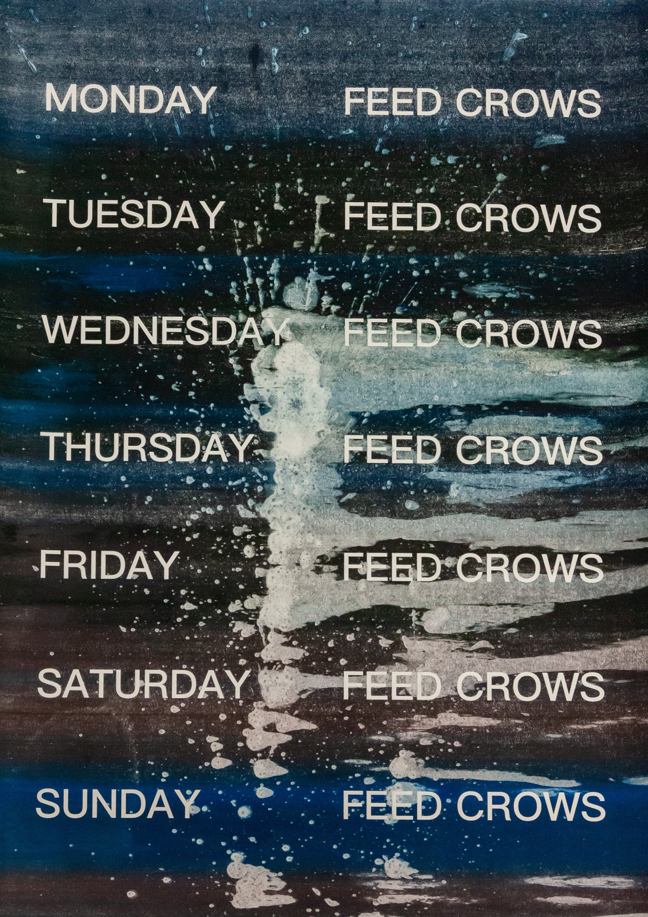 David Horvitz - Feed Crows (Print)