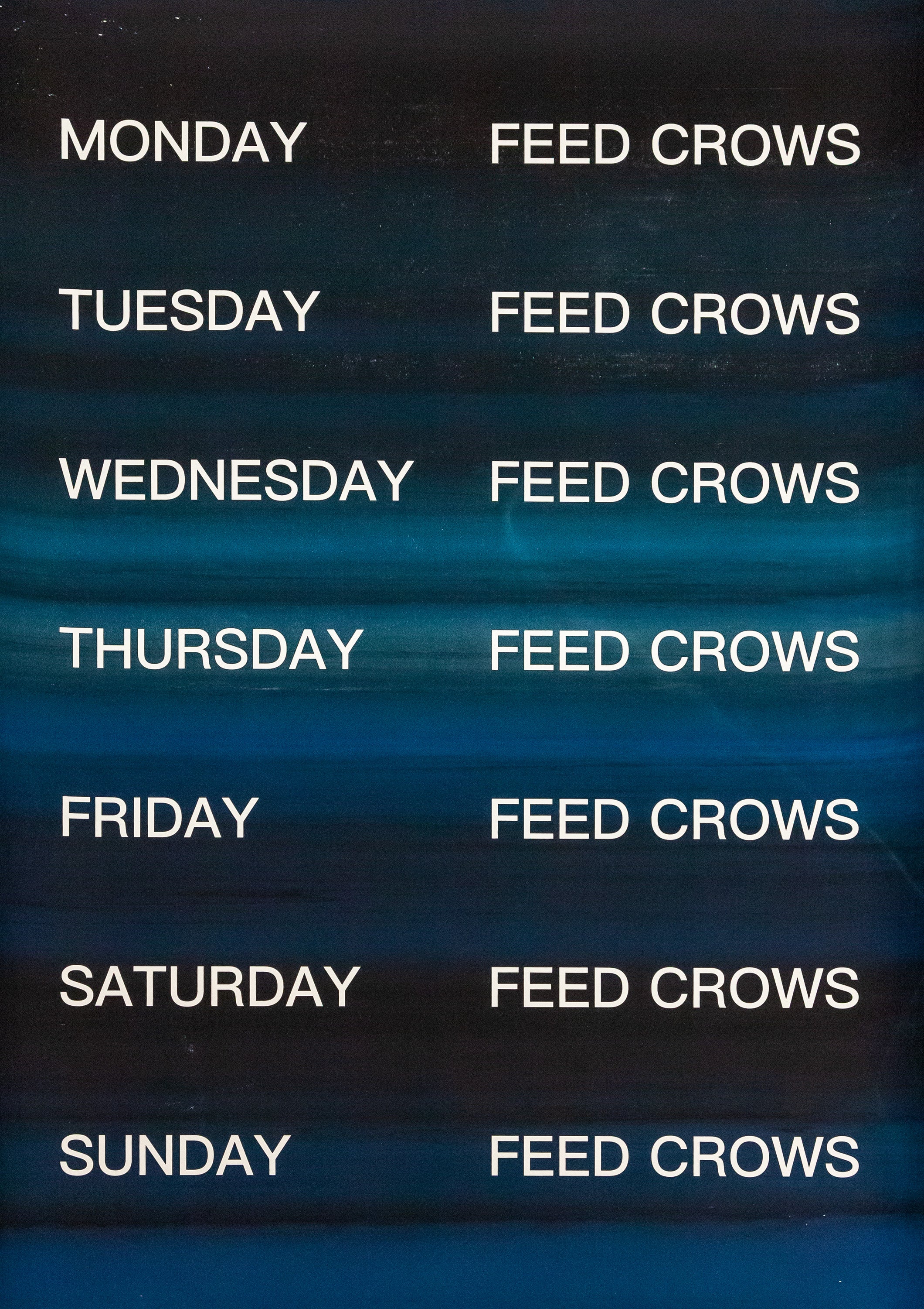 David Horvitz - Feed Crows (Print)