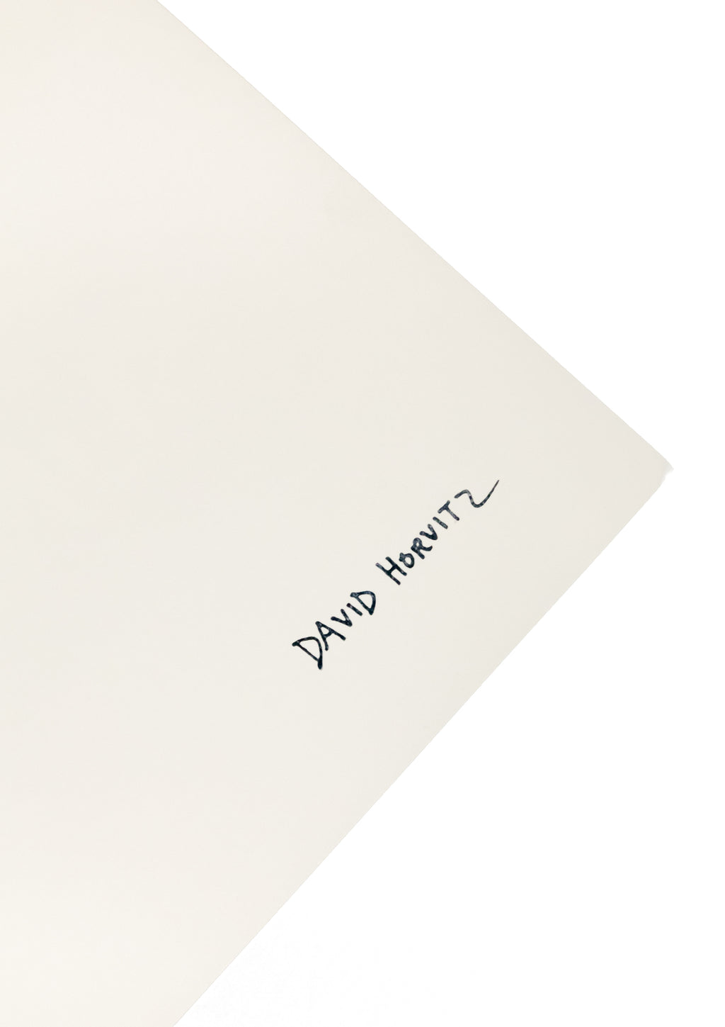 David Horvitz - Feed Crows (Print)