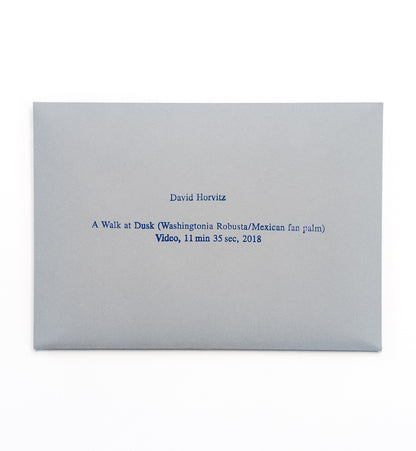 David Horvitz - "A Walk at Dusk (Washington Robusta / Mexican fan palm)" postcard set