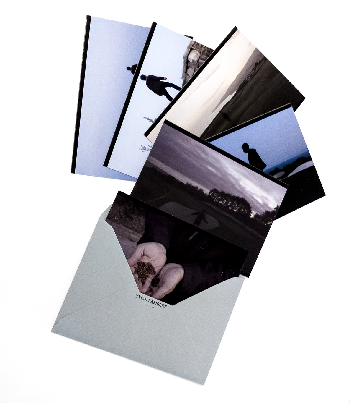 David Horvitz - "A Walk at Dusk (Washington Robusta / Mexican fan palm)" postcard set